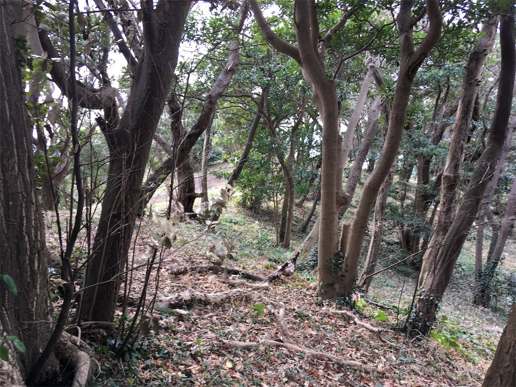 f:id:kofunmeguri:20180307212216j:image f:id:kofunmeguri:20180307212216j:image