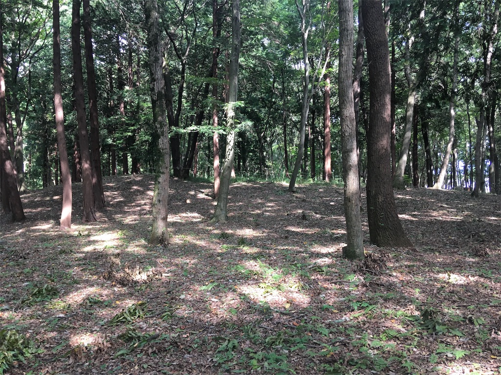 f:id:kofunmeguri:20180912215959j:image