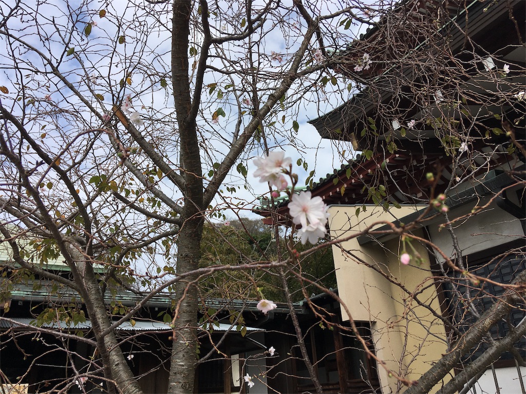 f:id:kofunmeguri:20181114193452j:image
