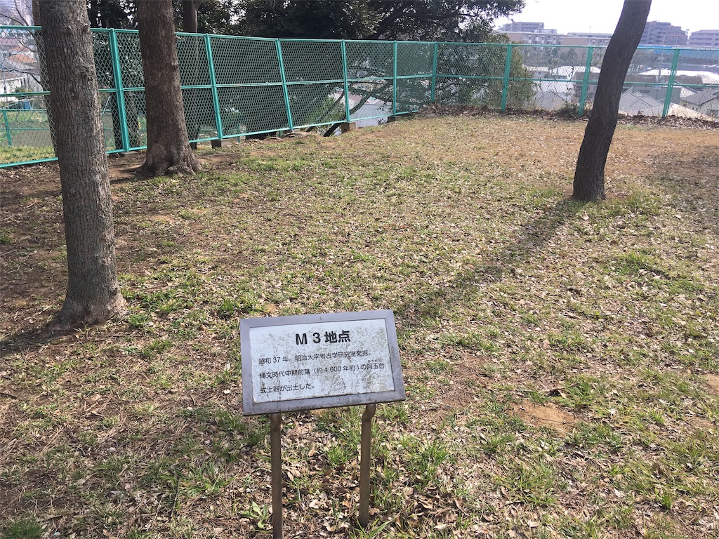 f:id:kofunmeguri:20190224205926j:image