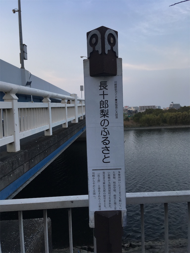 f:id:kofunmeguri:20190330094102j:image f:id:kofunmeguri:20190330094102j:image