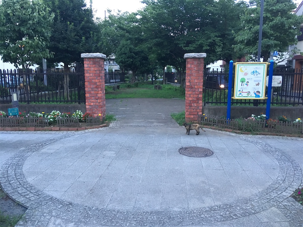 f:id:kofunmeguri:20190730225548j:image