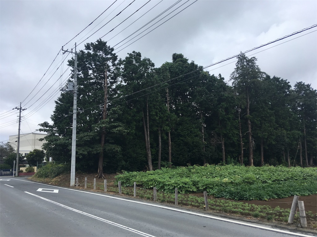 f:id:kofunmeguri:20191006183510j:image
