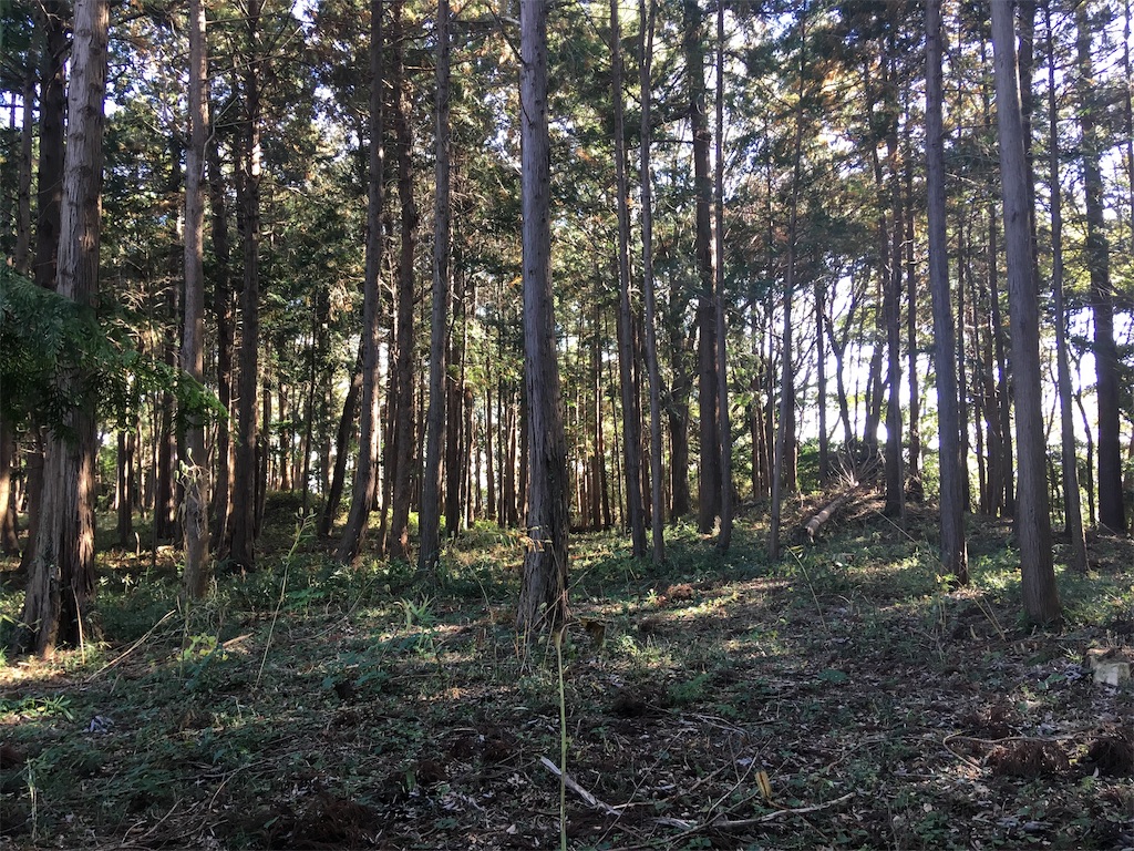 f:id:kofunmeguri:20191117233003j:image