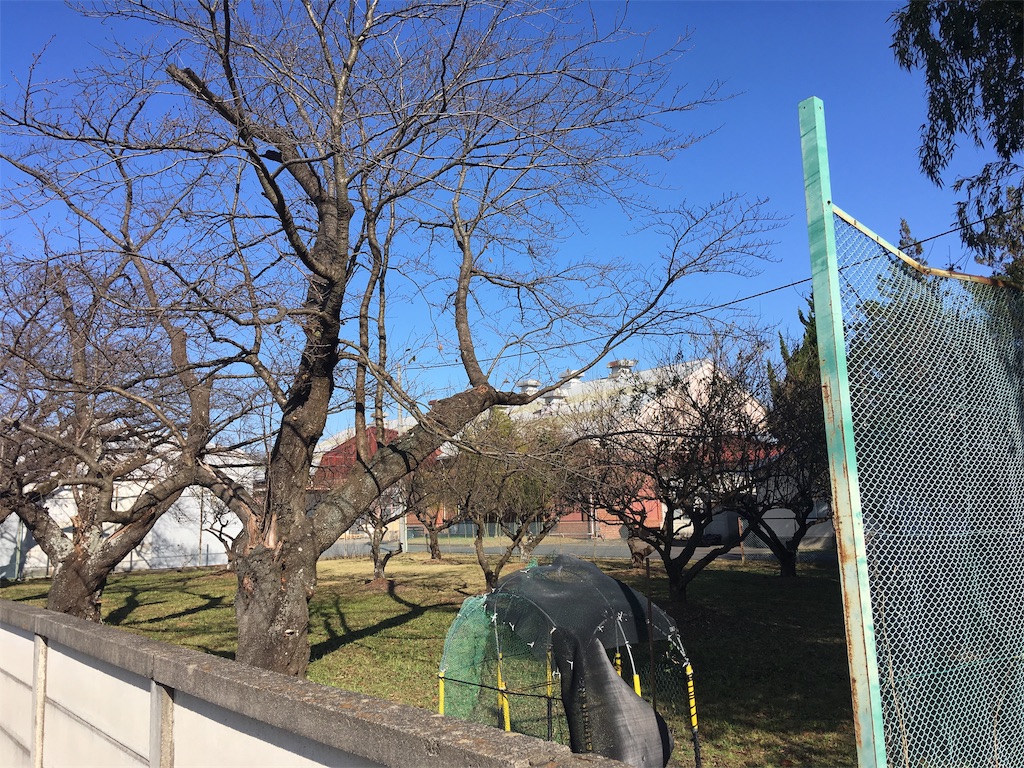 f:id:kofunmeguri:20191118200034j:image f:id:kofunmeguri:20191118200034j:image