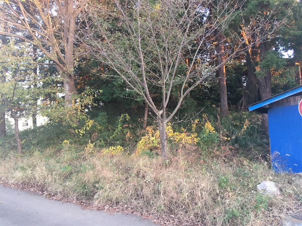 f:id:kofunmeguri:20191118201720j:image f:id:kofunmeguri:20191118201720j:image