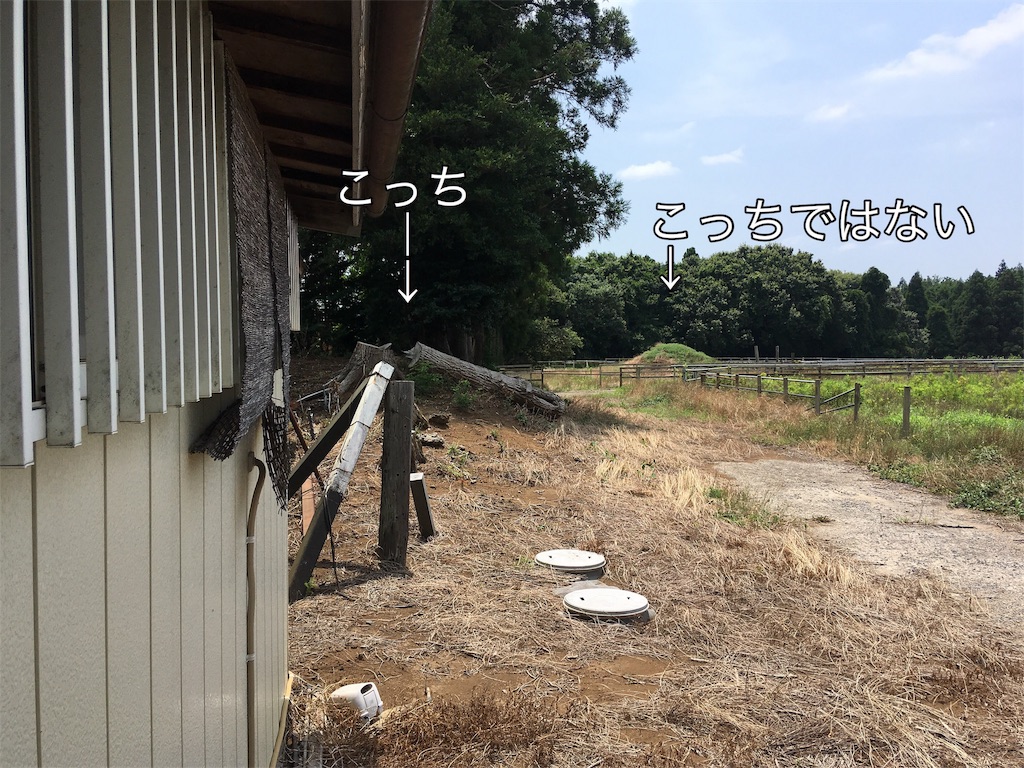 f:id:kofunmeguri:20191209201625j:image