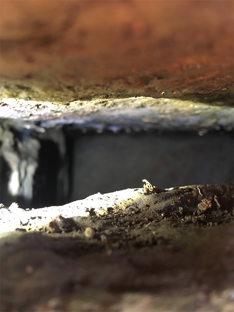 f:id:kofunmeguri:20191210211805j:image