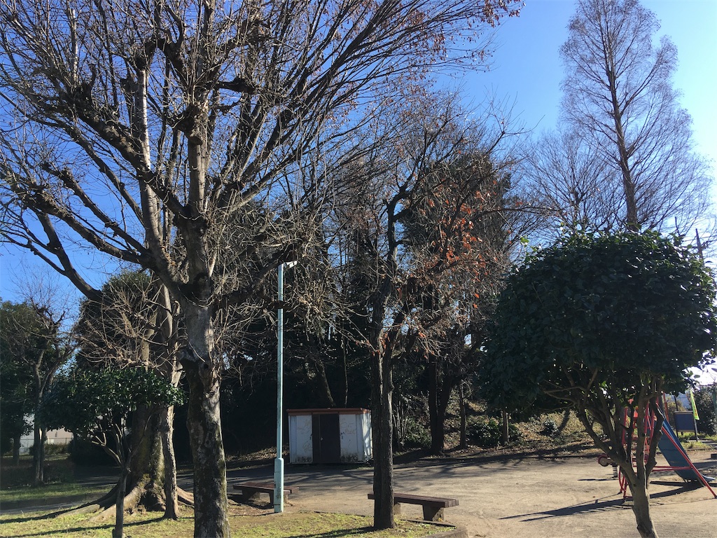 f:id:kofunmeguri:20191229204340j:image