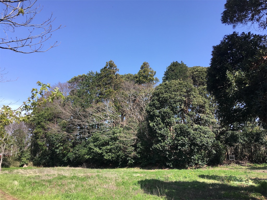 f:id:kofunmeguri:20200321163436j:image