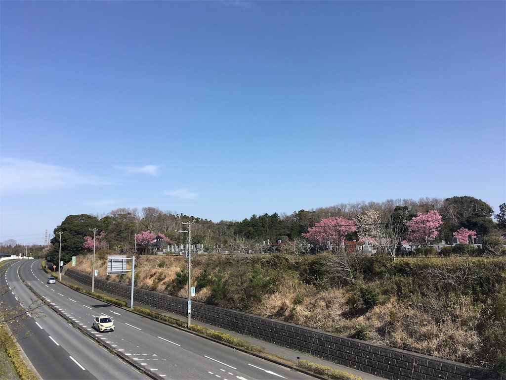 f:id:kofunmeguri:20200321163526j:image