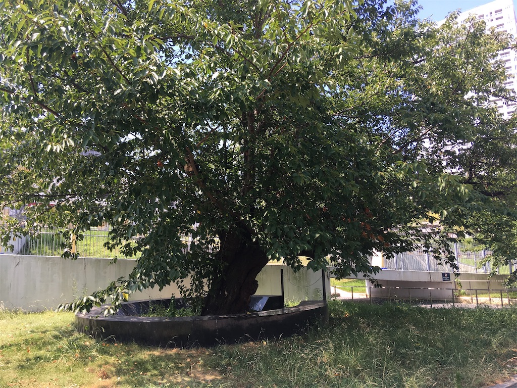 f:id:kofunmeguri:20200821210530j:image