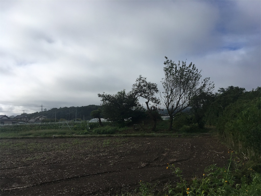 f:id:kofunmeguri:20200913201831j:image
