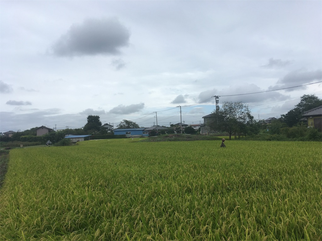 f:id:kofunmeguri:20200921201903j:image