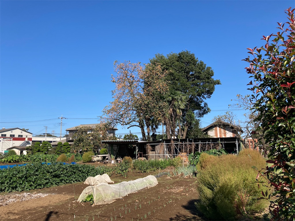 どうまん塚古墳 川越市下小坂 - 週末は古墳巡り
