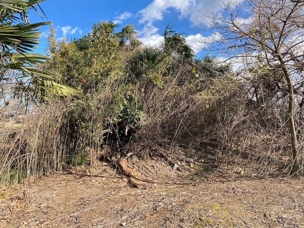 f:id:kofunmeguri:20211218222036j:image