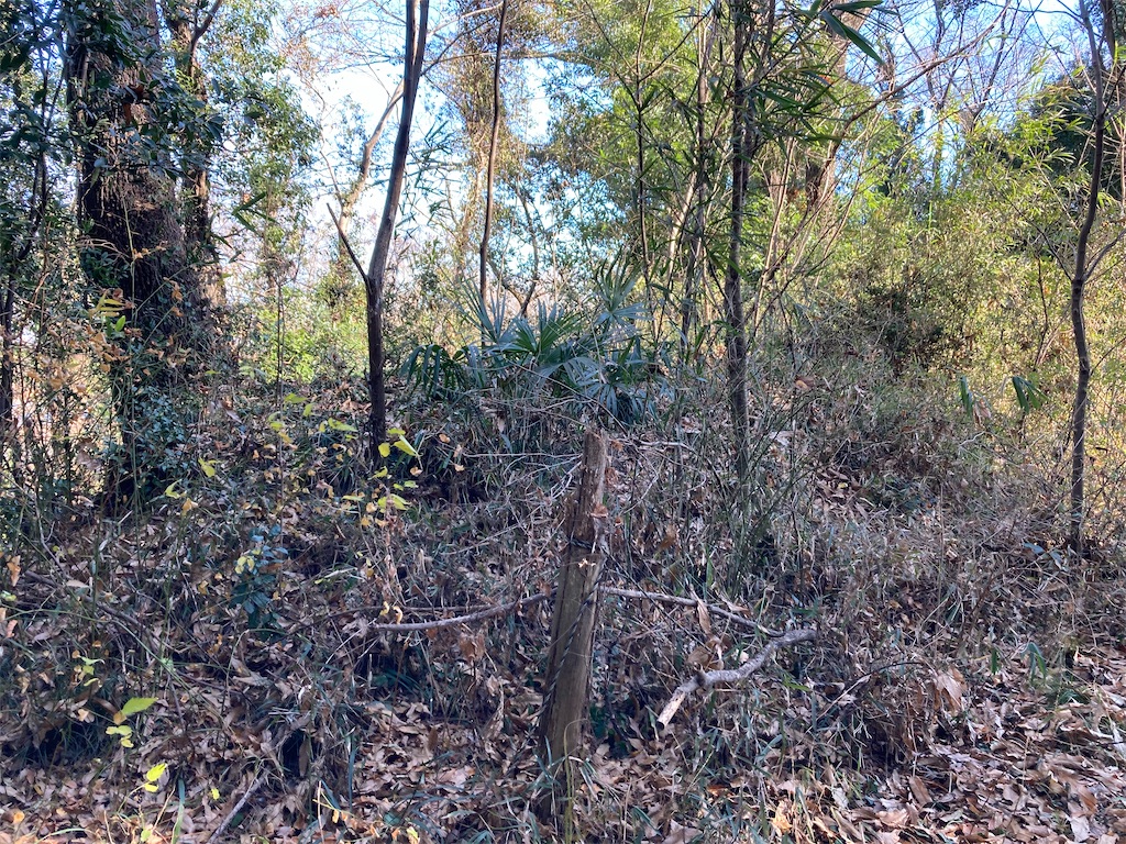 f:id:kofunmeguri:20220106194555j:image