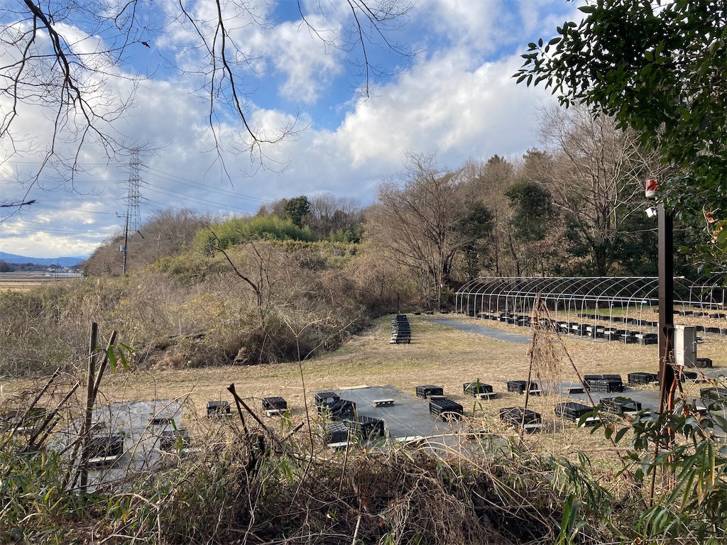 f:id:kofunmeguri:20220108114002j:image