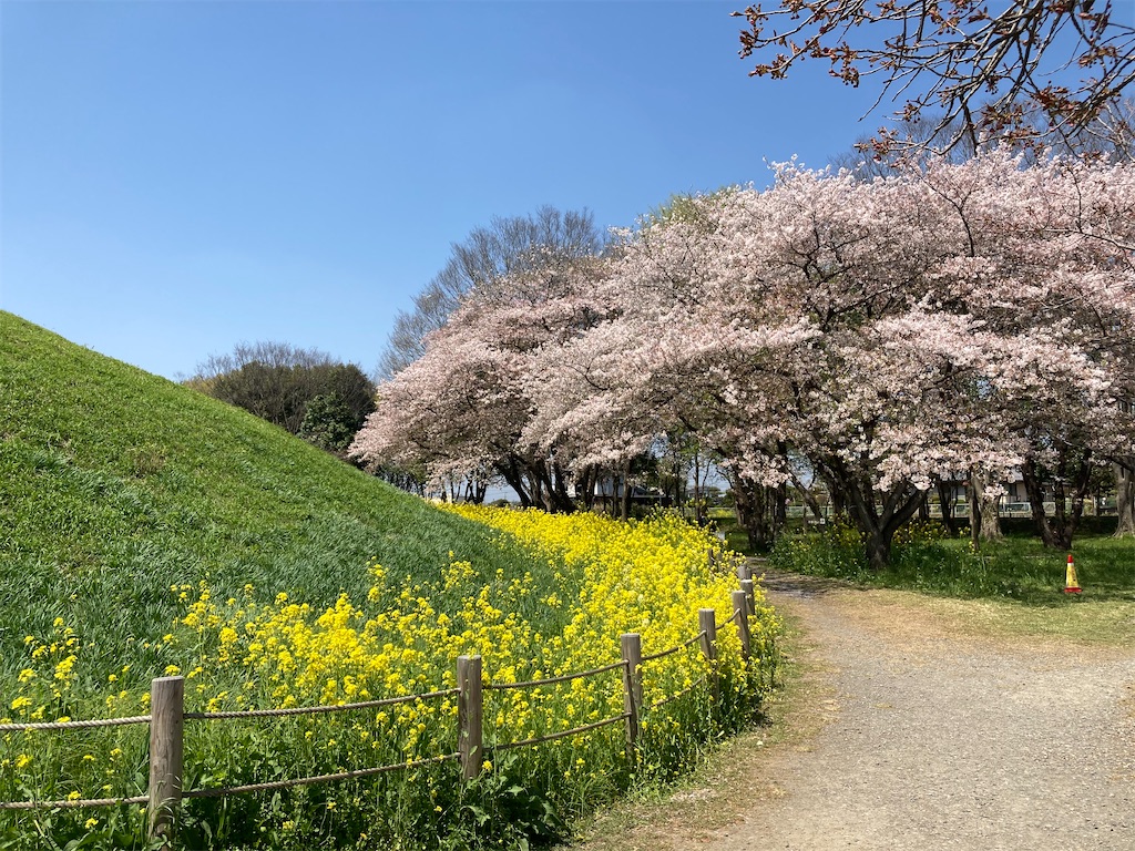 f:id:kofunmeguri:20220409190841j:image