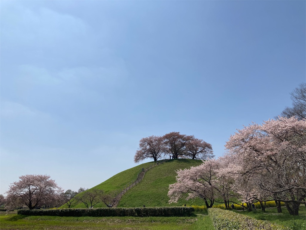 f:id:kofunmeguri:20220409190845j:image