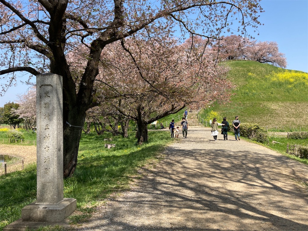 f:id:kofunmeguri:20220409190848j:image