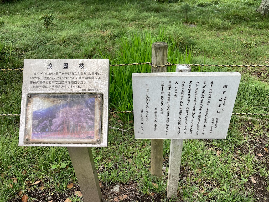 f:id:kofunmeguri:20220515200050j:image f:id:kofunmeguri:20220515200050j:image