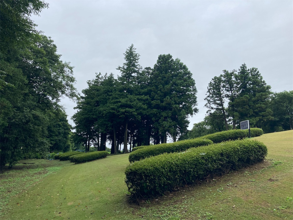 f:id:kofunmeguri:20220717052651j:image