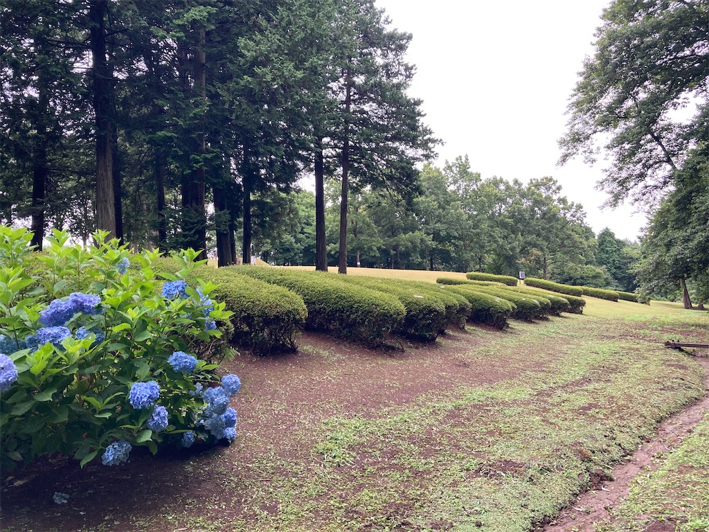 f:id:kofunmeguri:20220717053114j:image