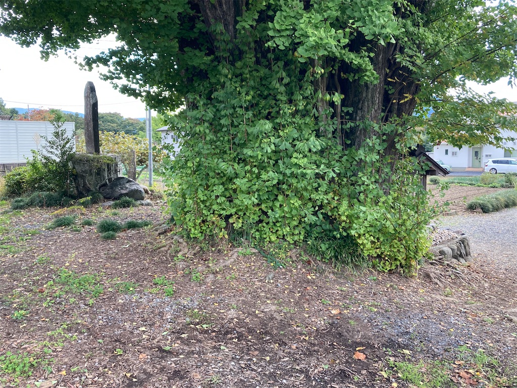 f:id:kofunmeguri:20221027074503j:image