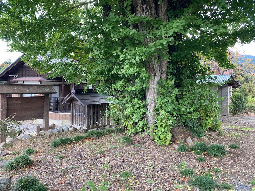 f:id:kofunmeguri:20221027074511j:image