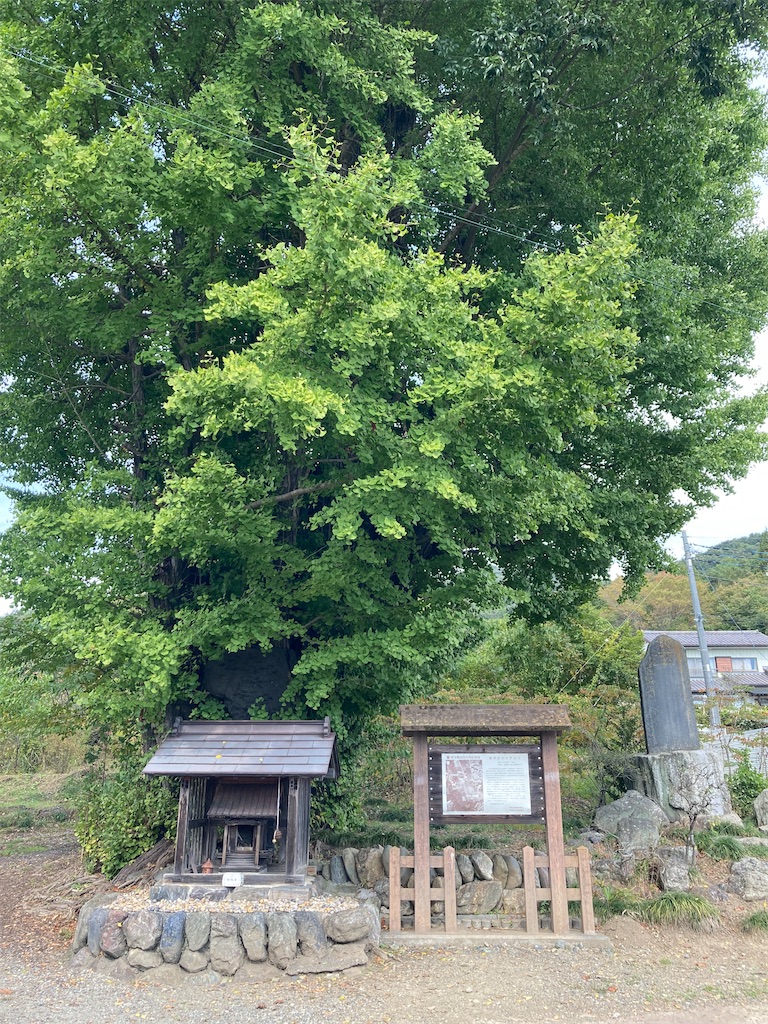 f:id:kofunmeguri:20221027074518j:image