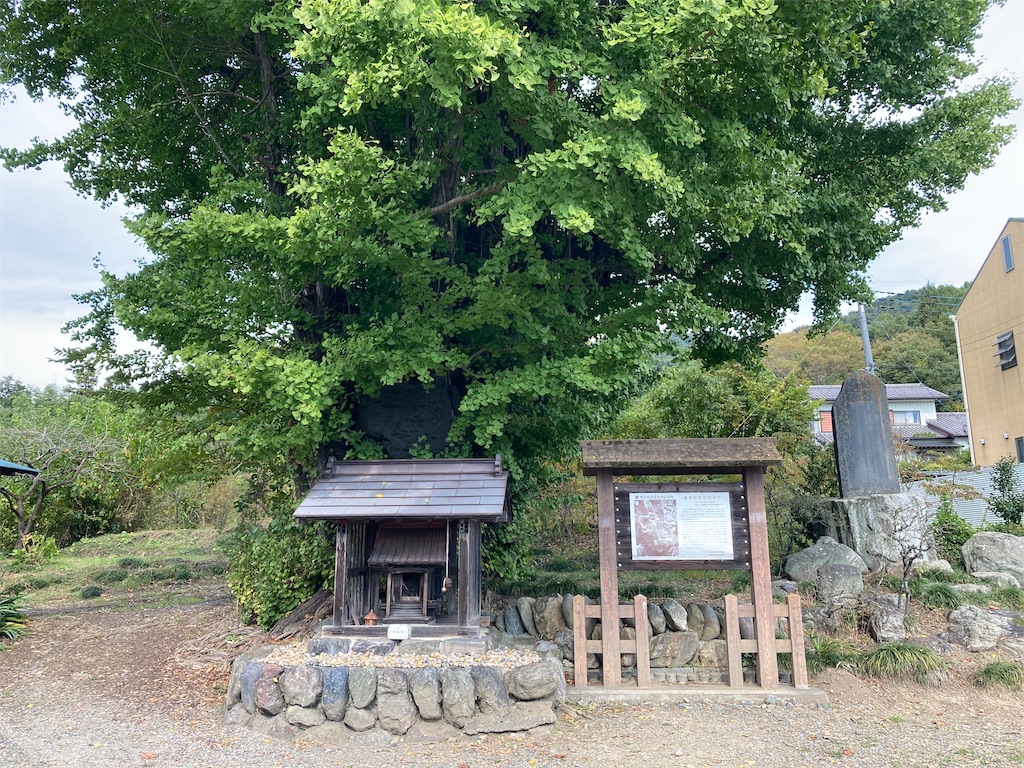 f:id:kofunmeguri:20221027074522j:image