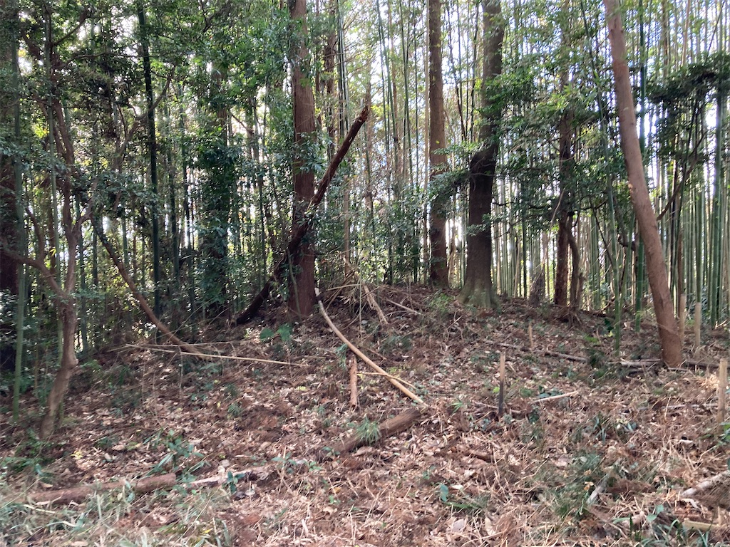 f:id:kofunmeguri:20221220071116j:image f:id:kofunmeguri:20221220071116j:image