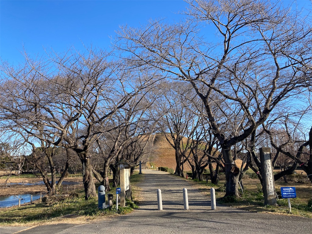 f:id:kofunmeguri:20230225214452j:image