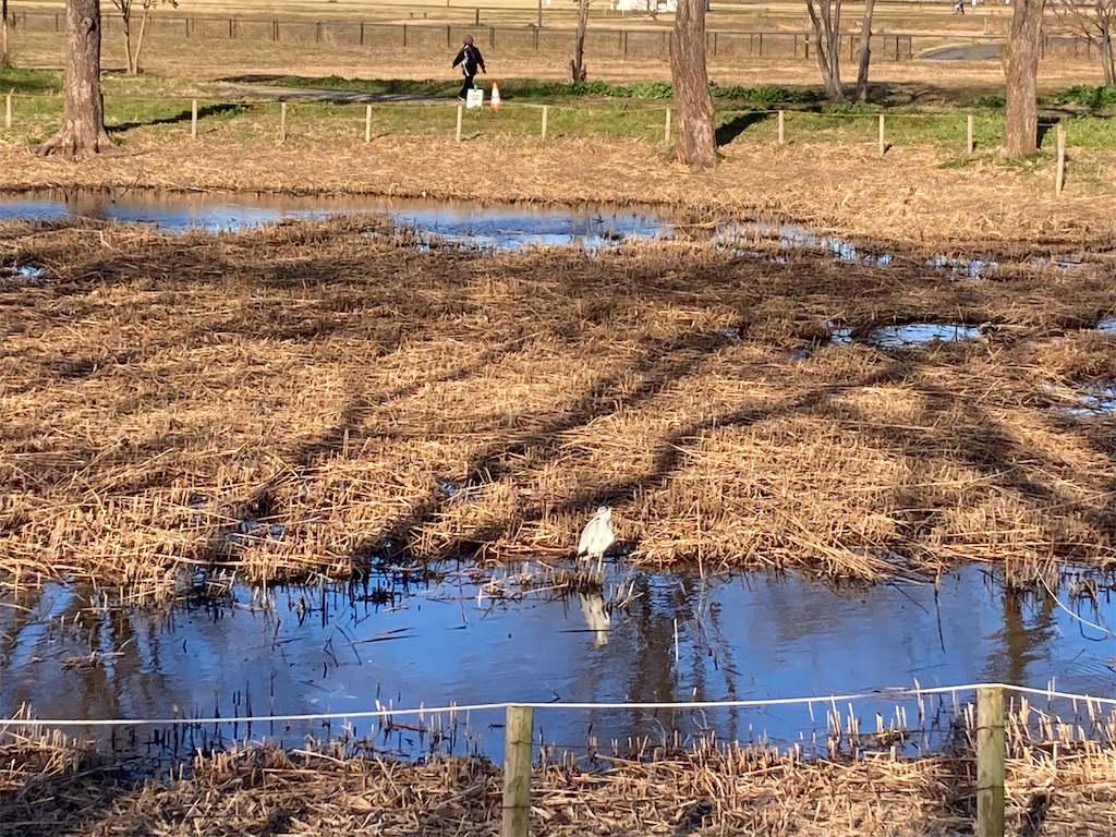 f:id:kofunmeguri:20230225214538j:image