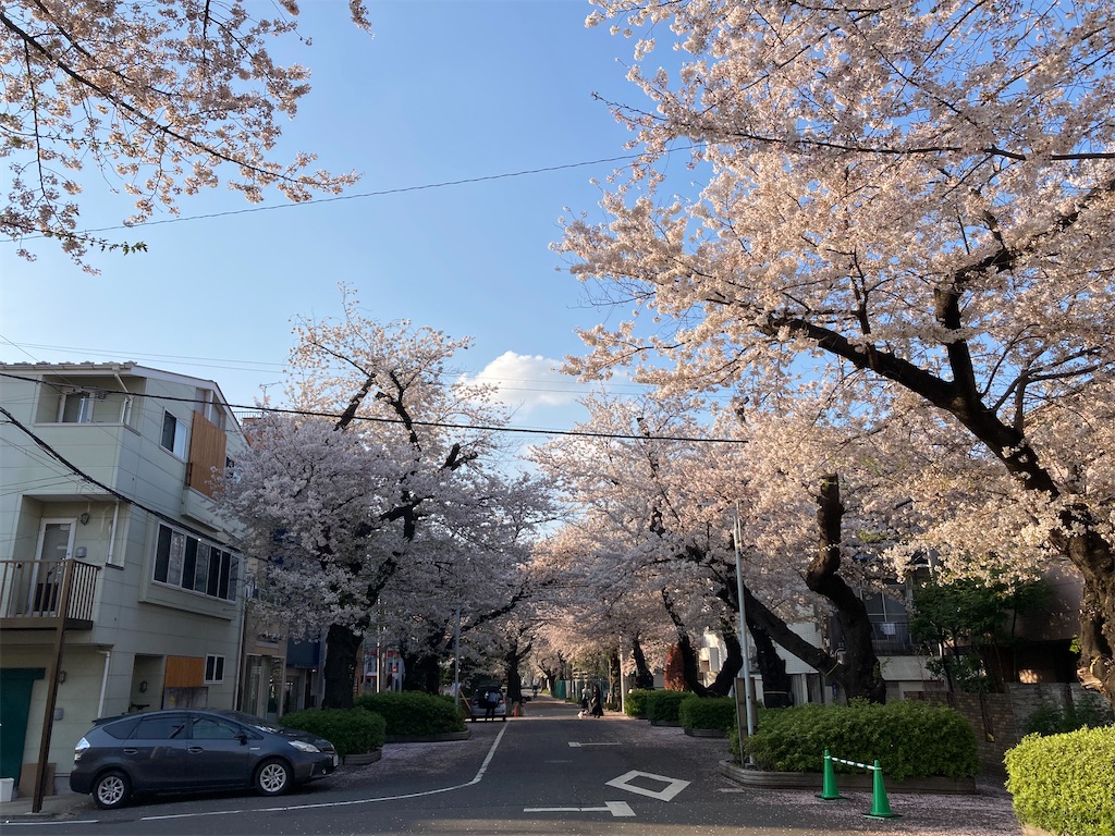 f:id:kofunmeguri:20230331205933j:image