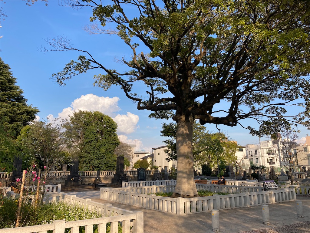f:id:kofunmeguri:20230331205936j:image