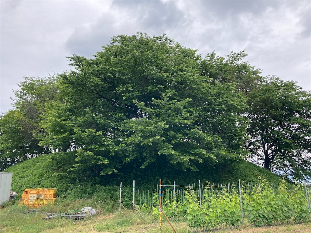 f:id:kofunmeguri:20230515034544j:image