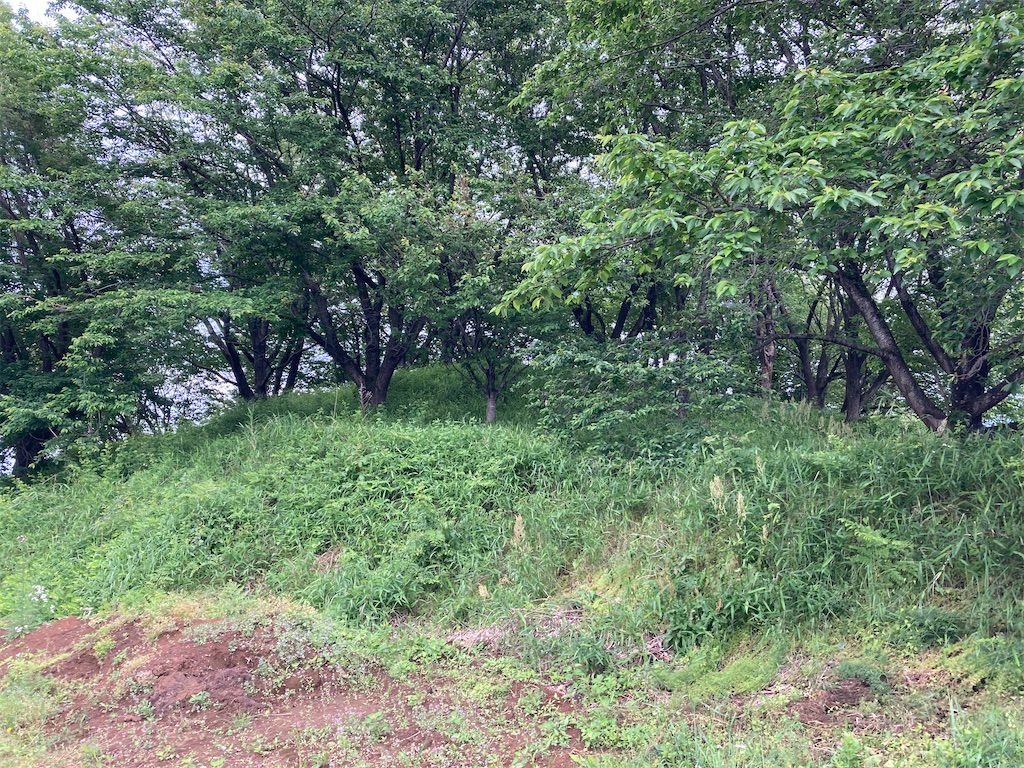 f:id:kofunmeguri:20230515034548j:image