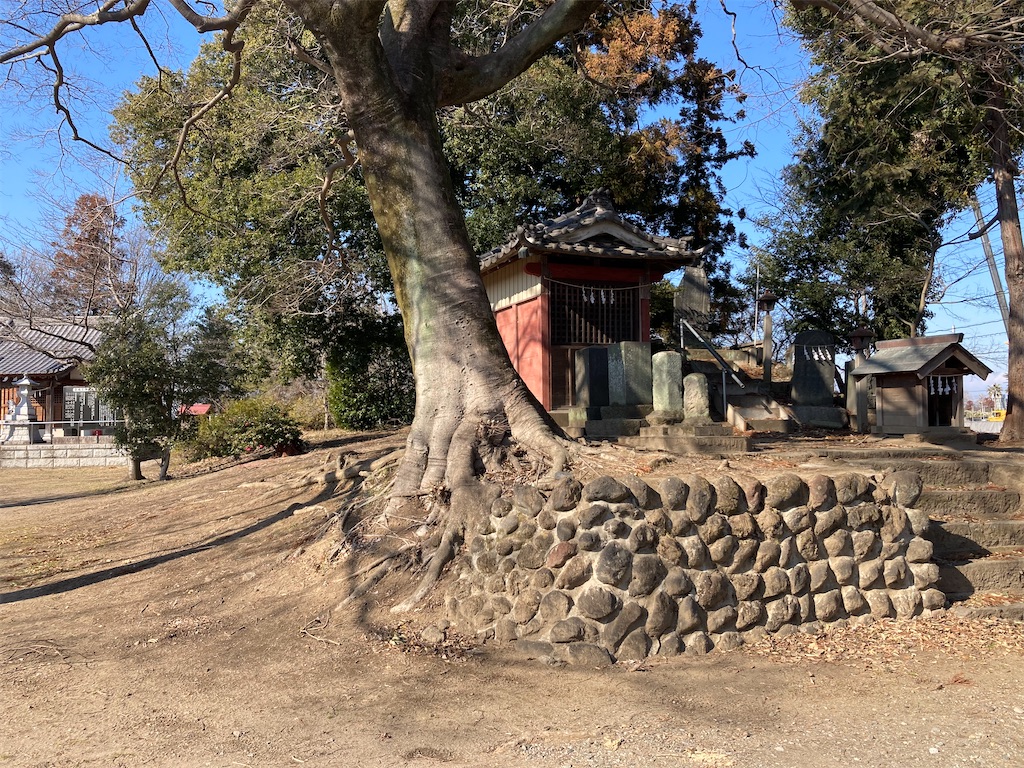 f:id:kofunmeguri:20240212102729j:image