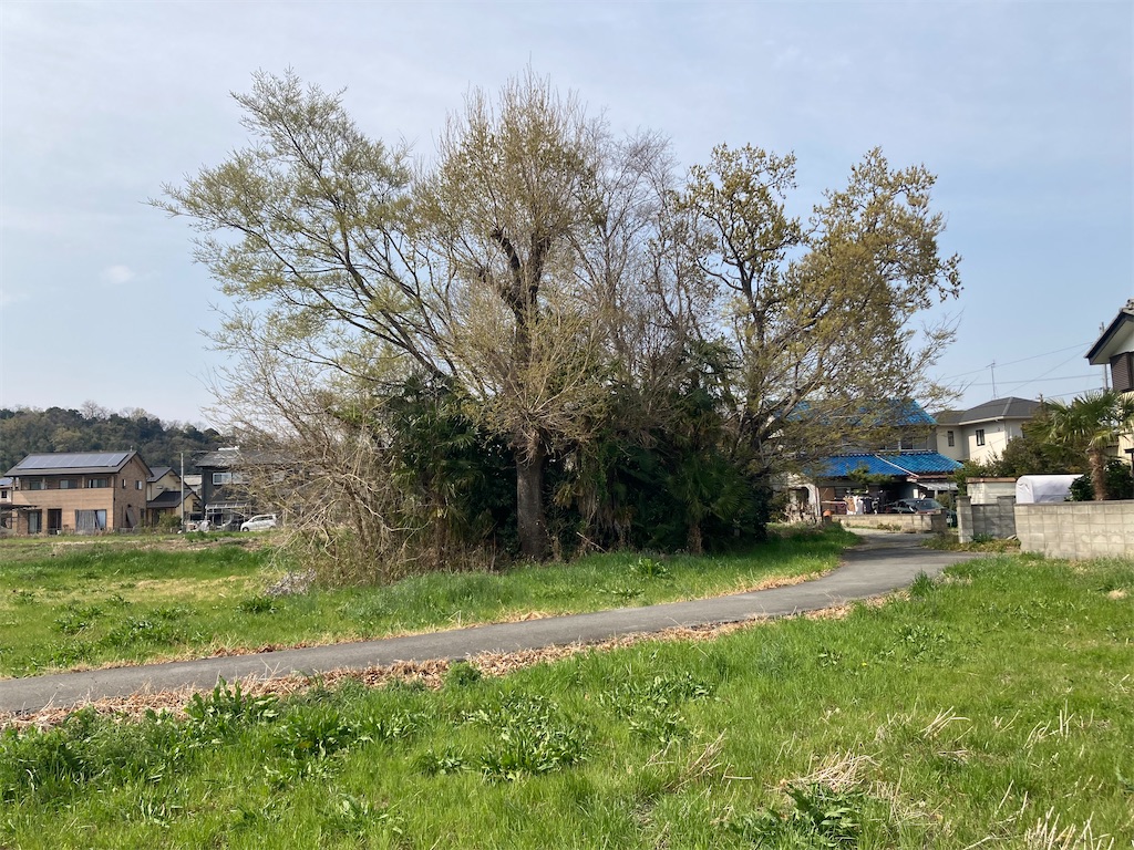 f:id:kofunmeguri:20250412152716j:image