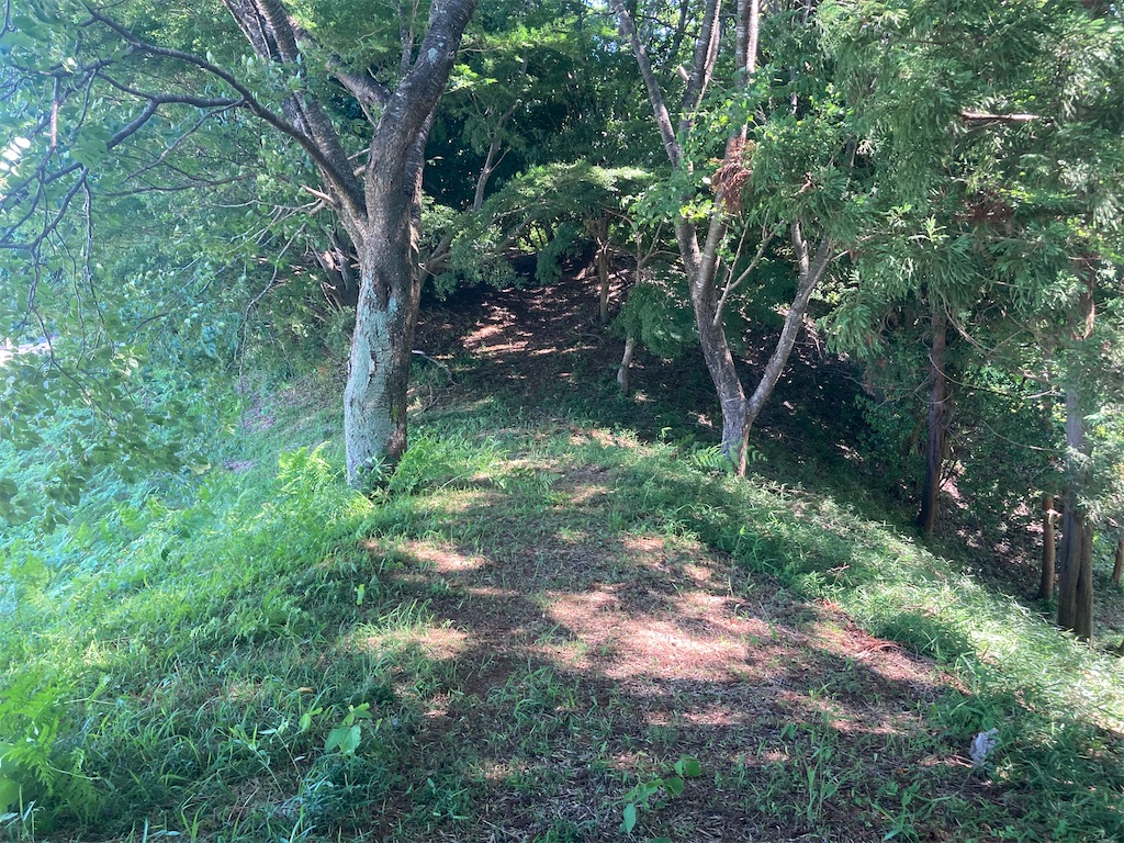 f:id:kofunmeguri:20250622213645j:image