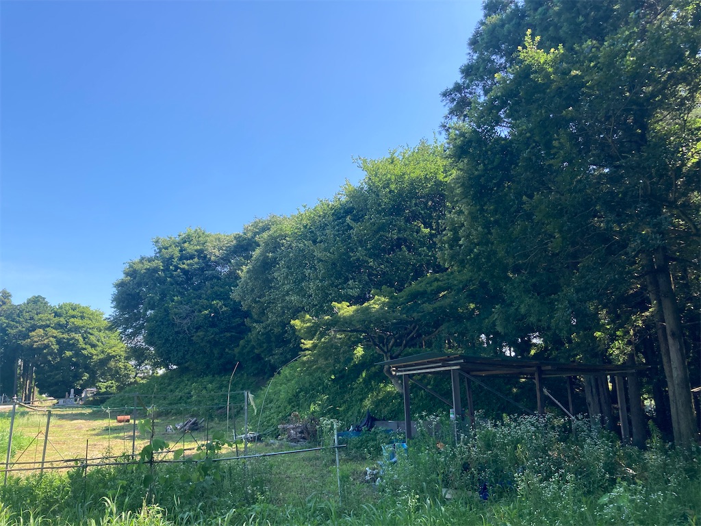 f:id:kofunmeguri:20250622213932j:image