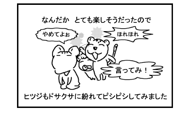 イメージ 5