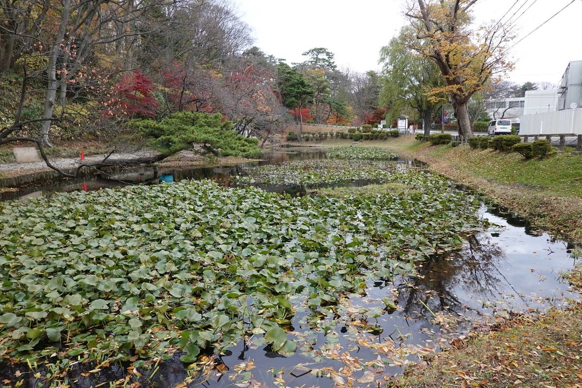 f:id:kog12gnyan:20200509014249j:plain f:id:kog12gnyan:20200509014249j:plain