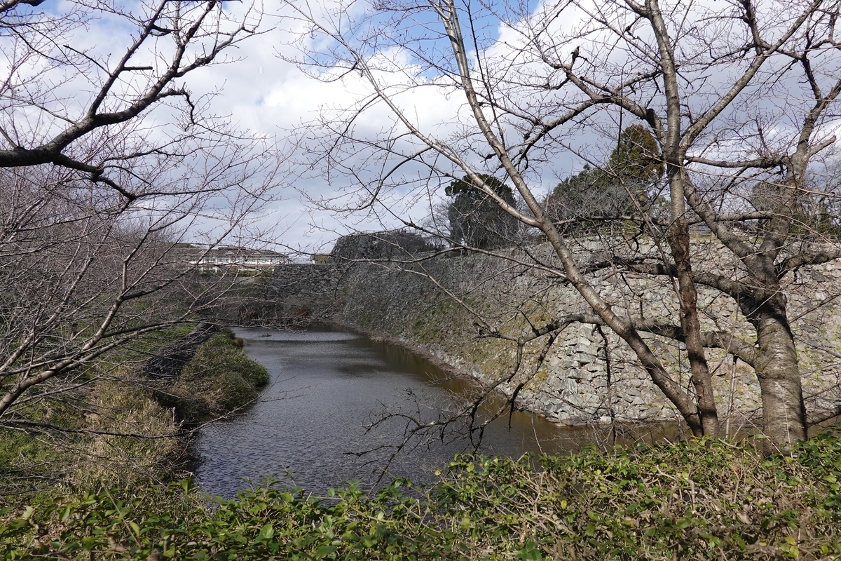 f:id:kog12gnyan:20200903214616j:plain f:id:kog12gnyan:20200903214616j:plain
