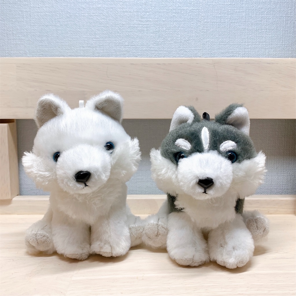 f:id:kogainu3:20210108231700j:image f:id:kogainu3:20210108231700j:image