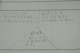 DSC03627