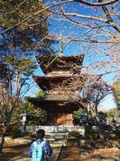 f:id:kogakuin-jsh:20190122091958p:plain