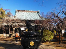 f:id:kogakuin-jsh:20190122092009p:plain